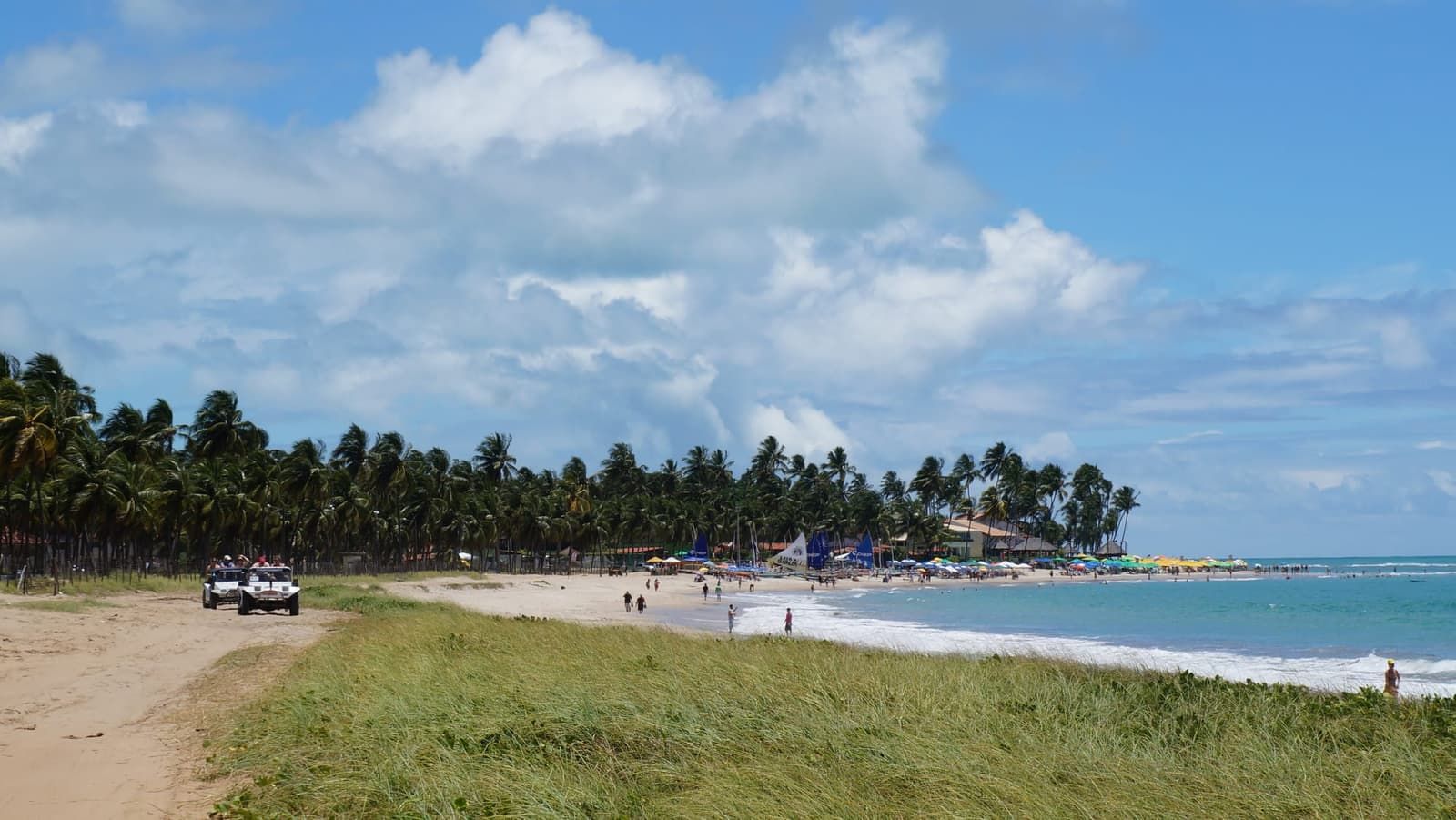 Passeios em Porto de Galinhas
