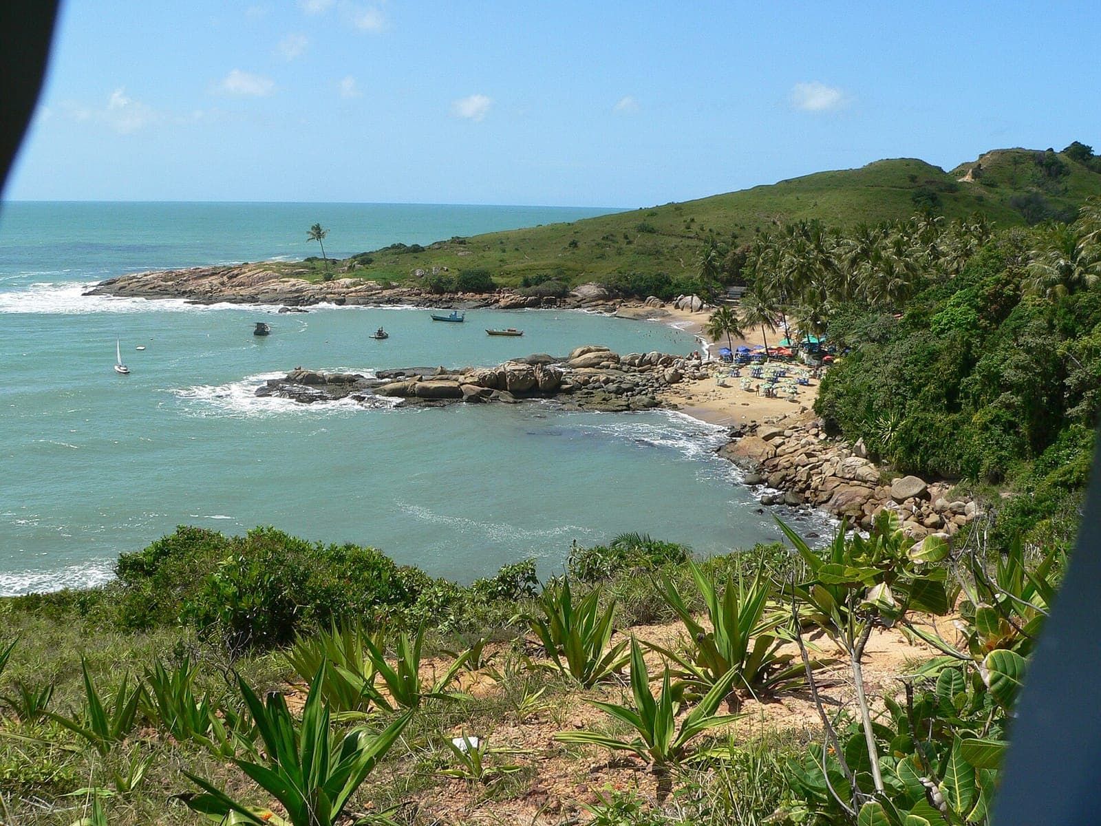 Enseada de Calhetas vista do alto, com mar verde entre pedras, coqueiros e vegetação nativa