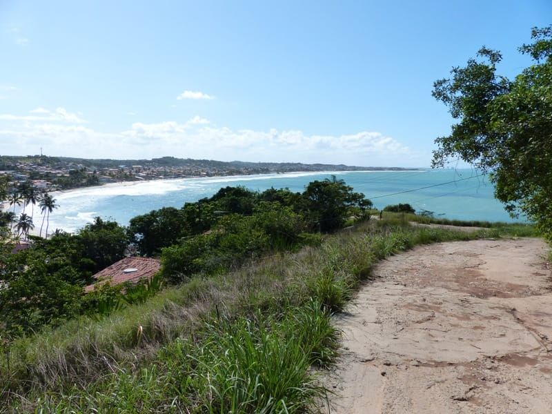 Vista da praia de Gaibu do alto do morro, com a faixa de areia, o mar e a vegetação em primeiro plano