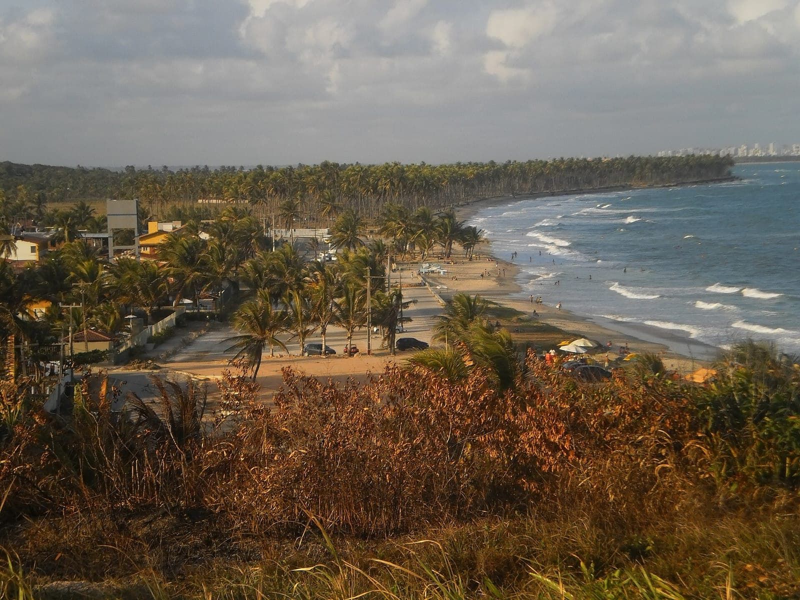 Praia de Itapuama vista do alto, com coqueiros, casas e ondas quebrando na orla