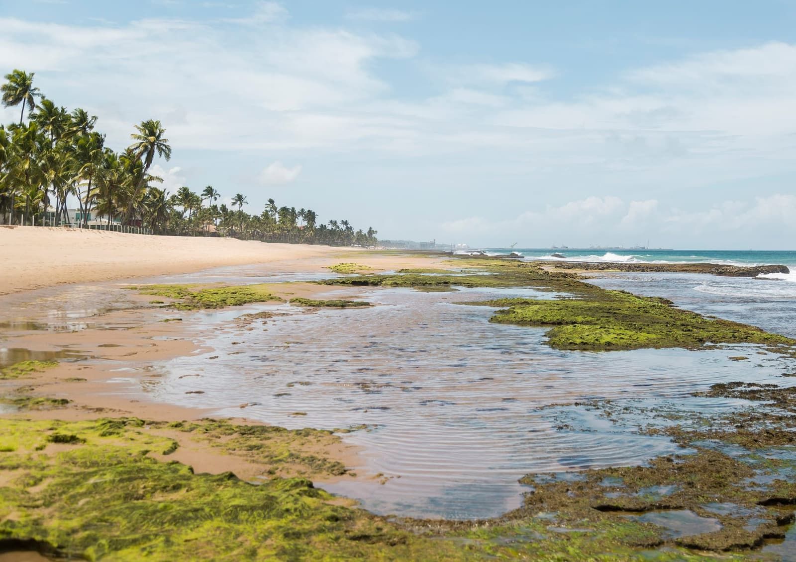Tábua de marés de Porto de Galinhas: como ler e onde consultar